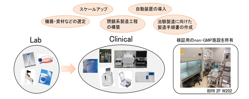 レコードマネジメント 治験 コレクション